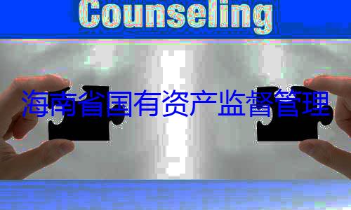 委副书记王查调查海南省国有资产监督管有福接受审理委员会党